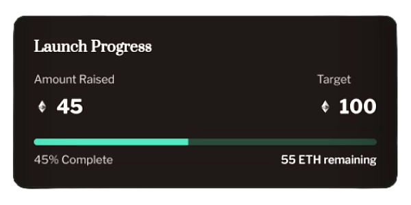 Launch Progress